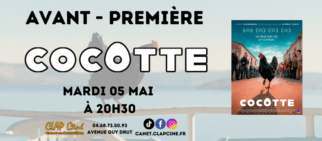 actualité AP COCOTTE